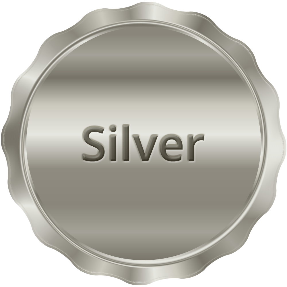 silver plan image